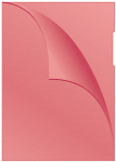 Dokumenditasku Q-Connect 11KF00306, 29.7 cm x 21 cm, A4, 100 tk Punane