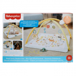 Tegevusmatt Fisher Price Sensimals, 76.2 cm x 76.2 cm, eriv&auml;rviline