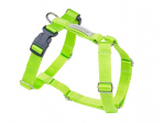 Koerte traksid Amiplay Guard Samba, roheline, 250 - 320 mm x 10 mm, XS