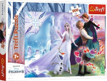 Pusle Trefl Frozen II 13265, 60 cm x 40 cm, 24 tk, mitmev&auml;rviline