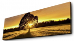 Seinadekoor Wallity 3090DACT-68, 90 cm x 30 cm
