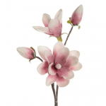 Kunstlill, magnoolia Flore 667, roosa, 59 cm x 17 cm