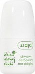 Deodorant naistele Ziaja Leaves, 60 ml