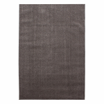 Vaip sise Ayyildiz 7000 601007000, pruun v., 100 cm x 60 cm