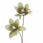 Kunstlill, magnoolia Flore 748, roheline v., 70 cm x 17 cm