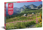 Pusle CherryPazzi Gasienicowa Hall In Tatras 1000 el. 30059, 50 cm x 70 cm, 1000 tk, mitmev&auml;rviline