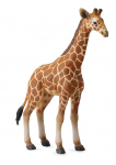 M&auml;ngukujuke Collecta Giraffe Calf 88535, pruun v.
