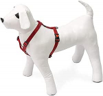 Koerte traksid Beeztees, punane v., 450 - 700 mm x 20 mm, 45-70