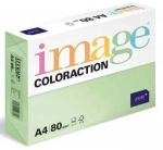 V&auml;rviline paber Antalis Image Coloraction, A4, 80 g/m&sup2;, roheline v., 29.7 cm x 21 cm, 500 lk. tk.