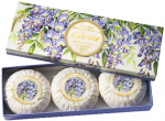Seebikomplekt Fiorentino Wisteria, 300 g, 3 tk