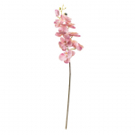 Kunstlill, orhidee Domoletti 365-1SD, mitmev&auml;rviline, 77 cm x 6 cm