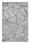 Vaip Conceptum Hypnose EEXFAB825 369HFT3430, hall v., 230 cm x 160 cm