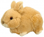 Pehme m&auml;nguasi j&auml;nes Wild Planet All About Nature, pruun, 16 cm