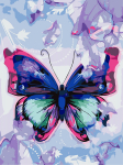 Maalimine numbrite j&auml;rgi Butterfly
