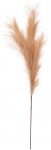 Kunstoks, pamparohi Splendid Pampas 80-JBR, hele pruun, 105 cm