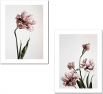 Pilt Wallity, 2p3040mdfciz-001, 30 cm x 40 cm