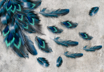Fototapeet Artgeist Blown Feathers, 70 cm x 100 cm