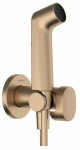 Bidee du&scaron;ikomplekt Hansgrohe EcoSmart, kuldne v.