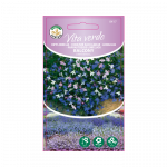 Seemned Vita Verde lobeeliad Balcony Lobelia L.