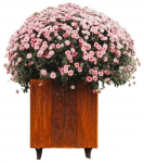 Terasest aiapeenar Petteri Wiimaa GrillSymbol Fat Ballerina FB-M, teras, 40 cm x 40 cm, hall