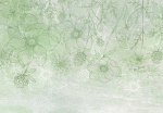 Fototapeet Artgeist Flowery Meadow - Nature With Field Flowers Lineart On Green Background, 70 cm x 70 cm