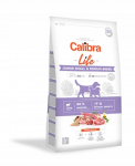 Kuiv koeratoit Calibra Life Junior S/M, lambaliha, 2.5 kg