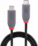 Juhe Lindy Anthra Line 36957, 2 x USB Type C male, 150 cm, must v./hall v., 240 W