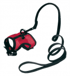 Koerte traksid Ferplast Assorted, (v&auml;rv/disain valitakse juhuslikult)