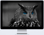 Privaatsusfilter (Privacy filter) Natec Owl 24" 16:9, 24 "