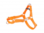Koerte traksid Amiplay Samba, oranž, 650 - 950 mm x 25 mm, 65-95