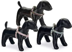 Koerte traksid Beeztees Harness, pruun, 460 - 750 mm x 20 mm, L