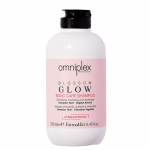 &Scaron;ampoon Farmavita Omniplex Blossom Glow Bond Care, 250 ml
