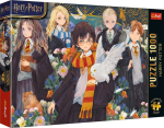 Pusle Trefl Premium Plus Harry Potter 12082, 48 cm x 68.3 cm, 1000 tk, mitmev&auml;rviline