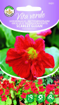 Seemned Vita Verde mungalill Scarlet Gleam Tropaeolum Majus L.