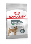Kuiv koeratoit Royal Canin Mini Dental Care, 1 kg