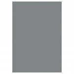 Vaip sise Ayyildiz SKY1602305400GREY, hall v., 230 cm x 160 cm
