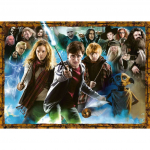 Pusle Ravensburger The Sorcerer'S Apprentice Harry Potter, 50 cm x 70 cm, 1000 tk