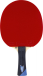 Lauatennise reket Tibhar Master Felix Lebrun S7 ITTF