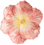 Dekoratiivne taldrik, "Lill" Homla Folar 243782, 18.5 cm, kollane v./roosa v.