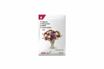 Seemned Baltic Agro astrid Aster Fan, 6 g