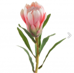 Kunstlill Natu Flower Decor, roheline/roosa, 63 cm x 9 cm