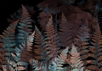 Fototapeet Artgeist Ferns In The Woods, 70 cm x 100 cm
