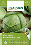 Seemned Garden Center, lillkapsas KAMIENA GLOWA, 1 g