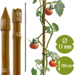 Taimetugi Bioogrod 720419, 150 cm, plastik/teras, pruun v.