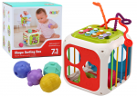 Arendav kuubik Shape Sorting 7in1, 18 cm, mitmev&auml;rviline