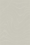 Vaip sise Domoletti ALLOY, hele pruun v., 290 cm x 200 cm