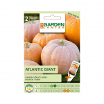 Seemned Garden Center, k&otilde;rvits Atlantic Giant, 2 g