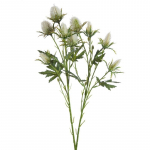 Kunsttaim Natu 379, kreemjasvalge/roheline, 68 cm
