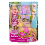 Nukk aksessuaaridega Mattel Barbie Family & Friends Malibu JJB46 Walk & Potty, 29 cm, mitmev&auml;rviline