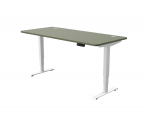 Arvutilaud reguleeritava k&otilde;rgusega Desktronic HomePro 40 853, 180 cm x 80 cm, 126 cm, valge v./roheline v.